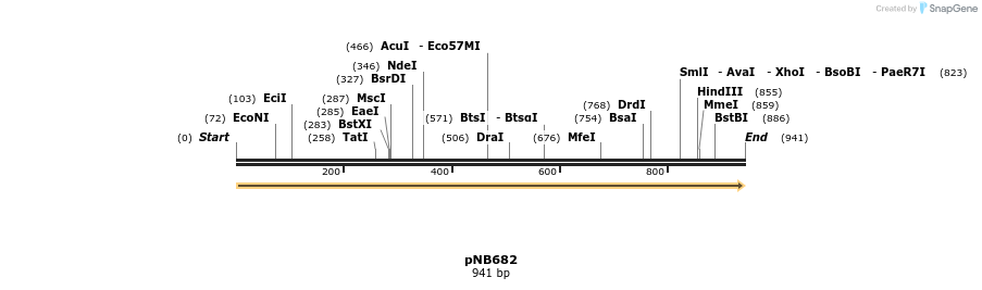 98513_map