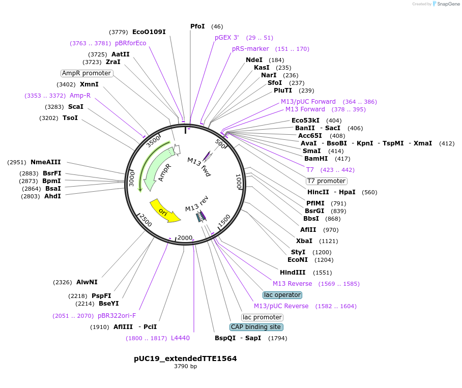 98514_map