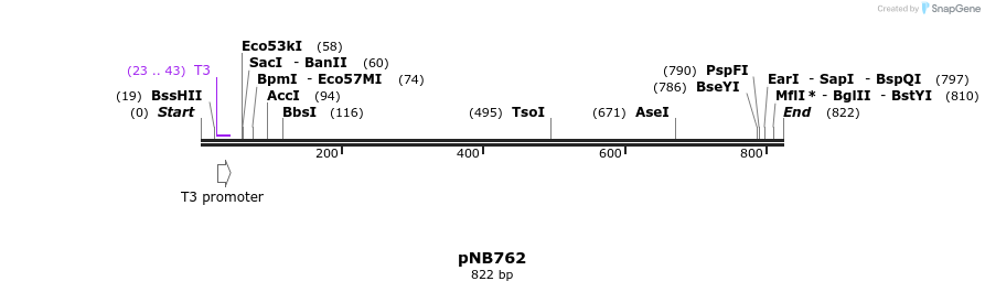 98516_map