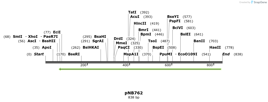 98517_map