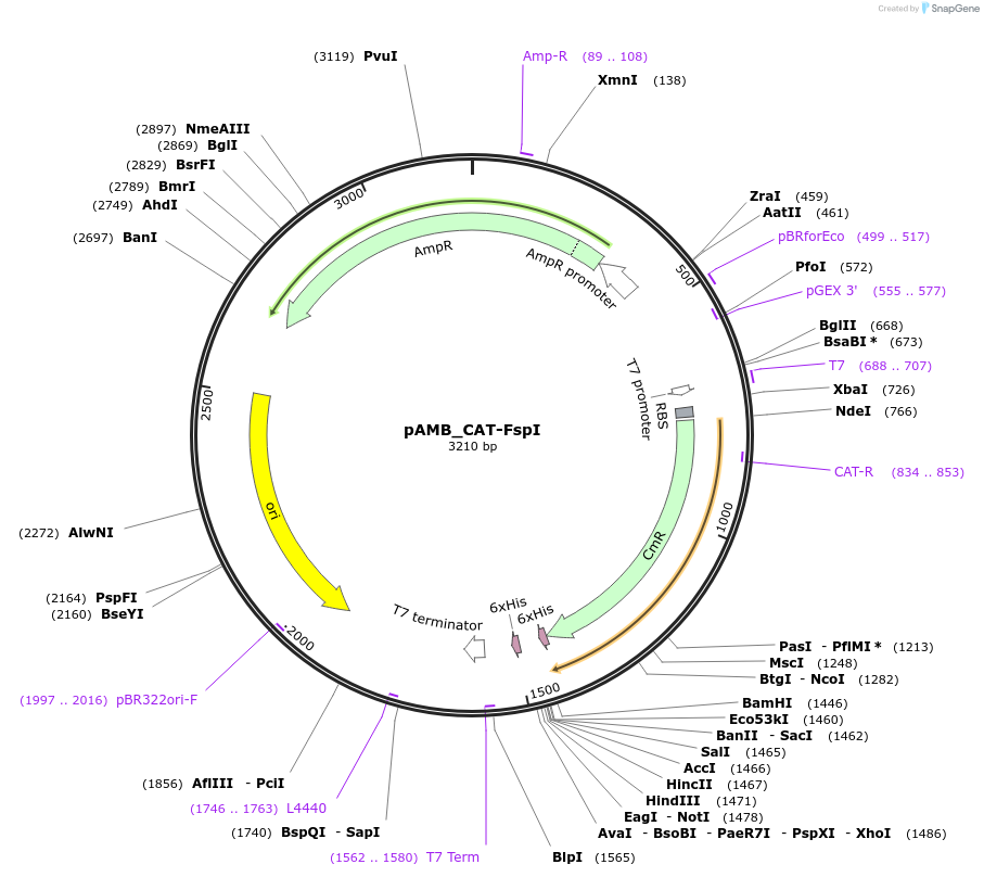 98521_map