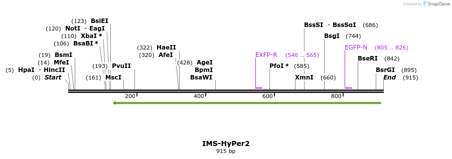 98525_map