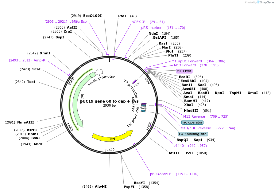98528_map