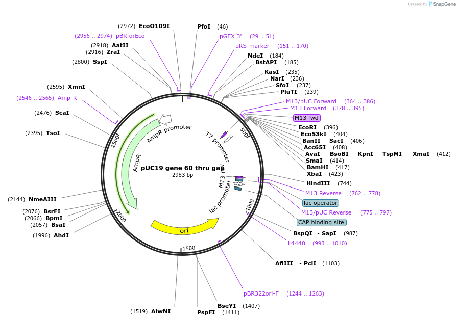 98530_map