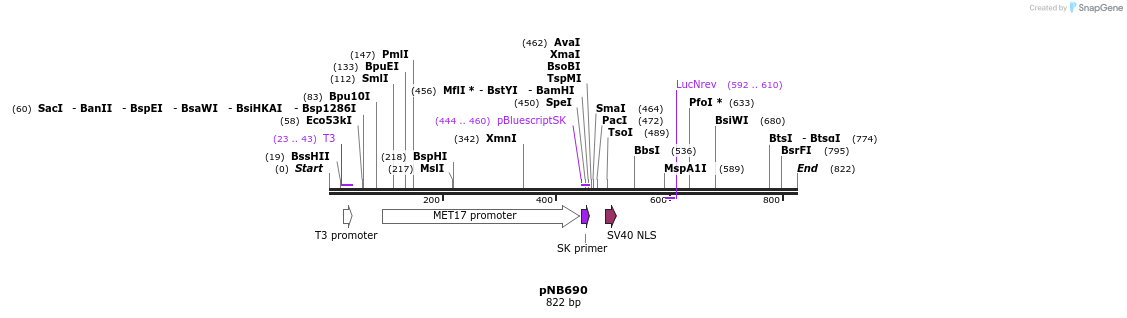 98531_map
