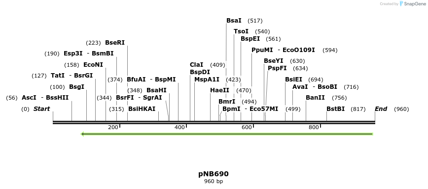 98533_map