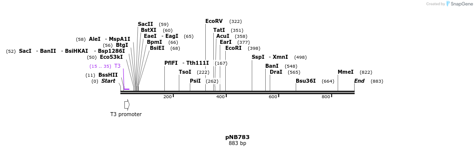 98536_map