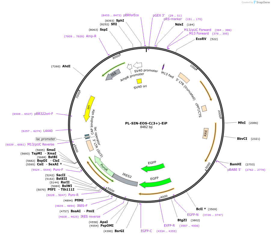 9854_map