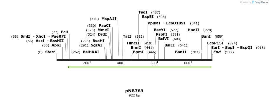 98540_map
