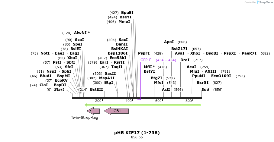 98542_map