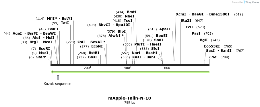 98543_map