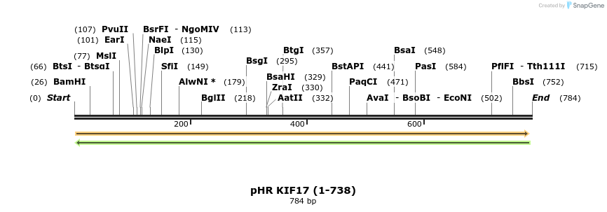 98544_map