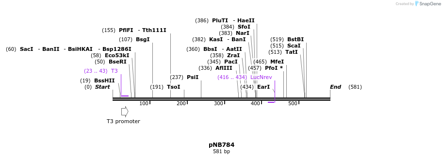 98545_map