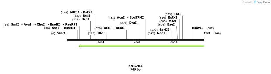 98548_map