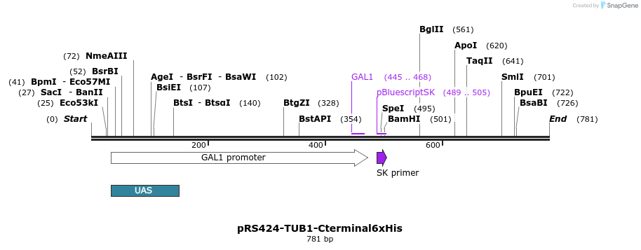 98549_map
