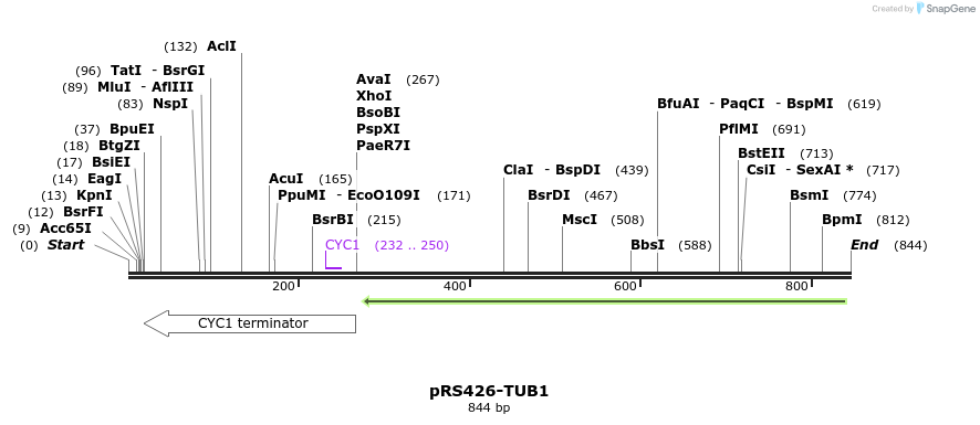 98551_map