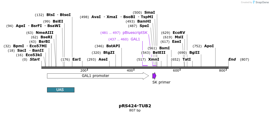 98553_map