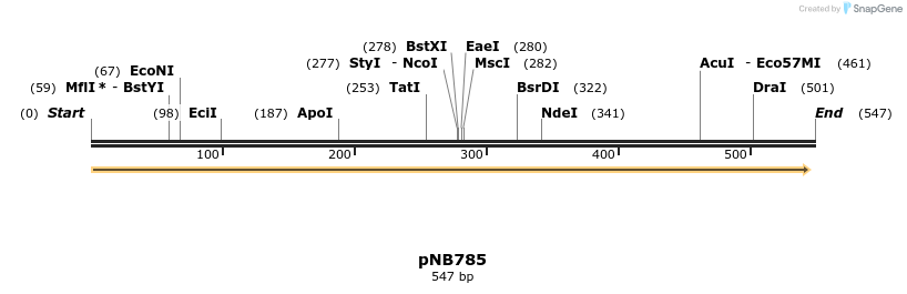 98555_map
