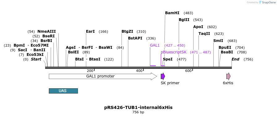 98561_map