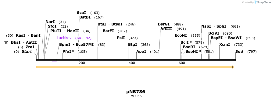 98564_map