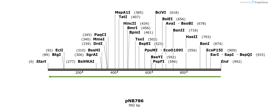 98565_map