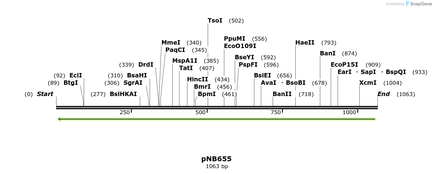 98566_map