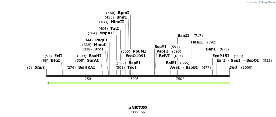 98567_map