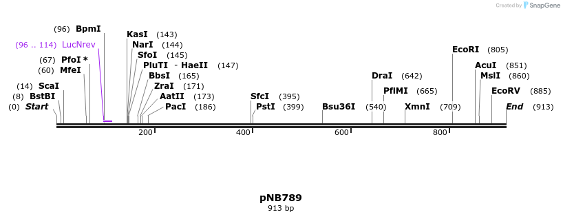 98568_map