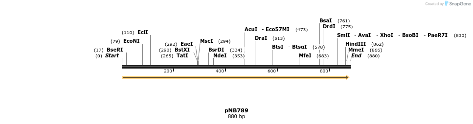 98569_map