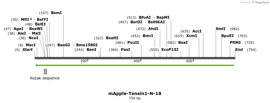 98571_map