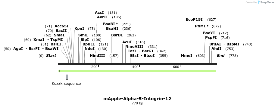 98572_map