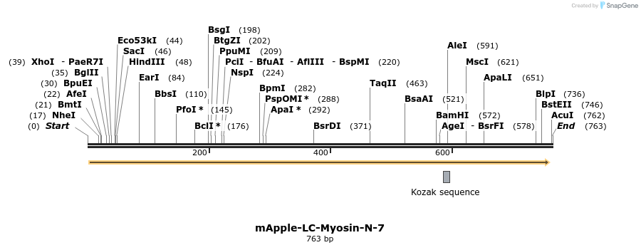 98573_map