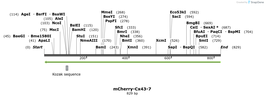 98576_map