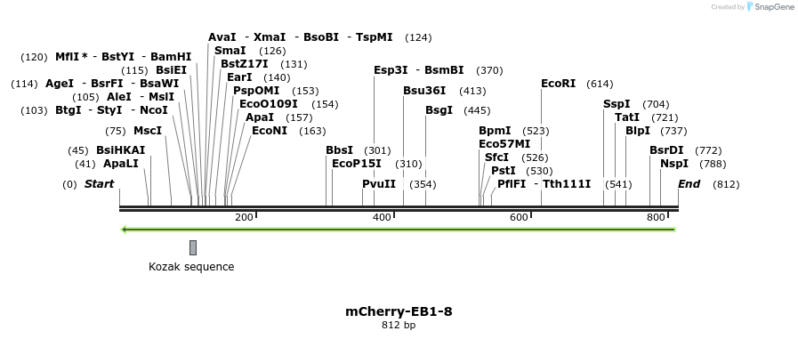 98577_map