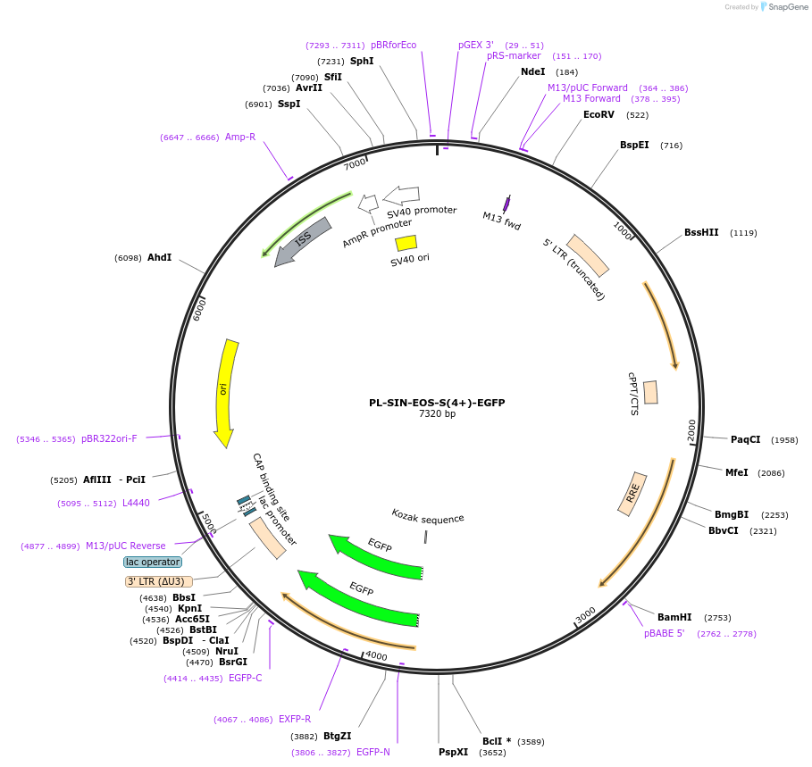 9858_map