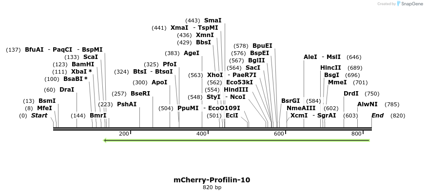 98580_map