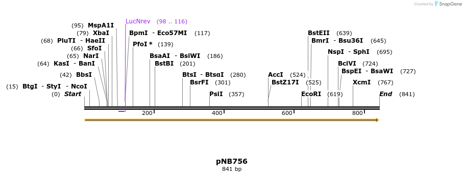 98584_map
