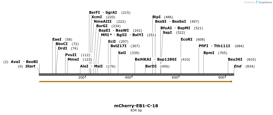 98590_map
