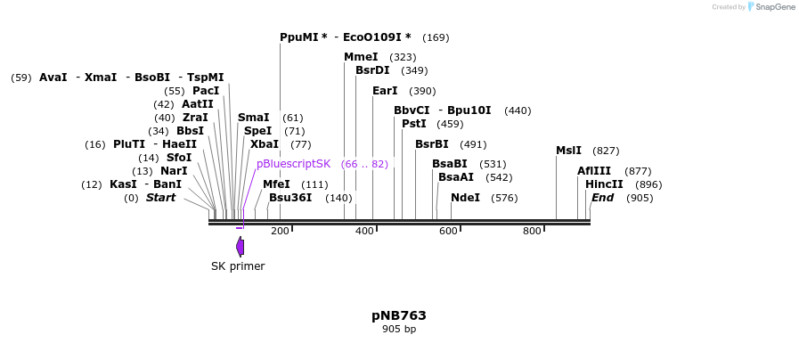 98591_map