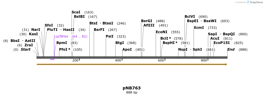 98592_map