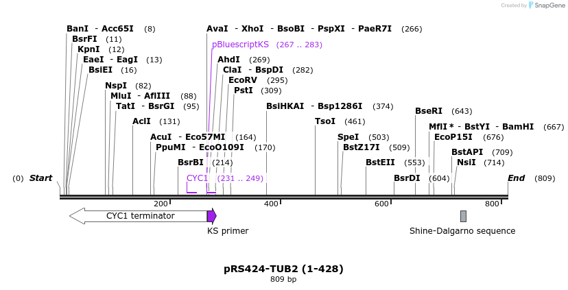 98593_map