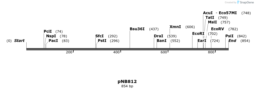 98594_map