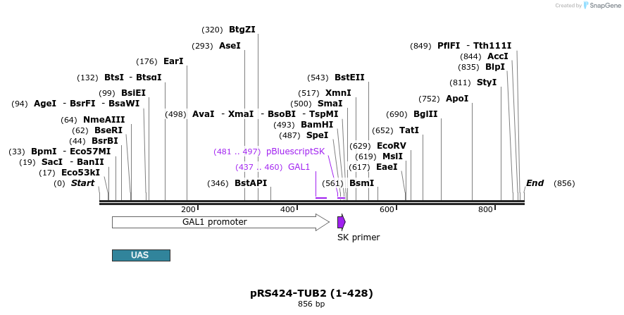 98595_map