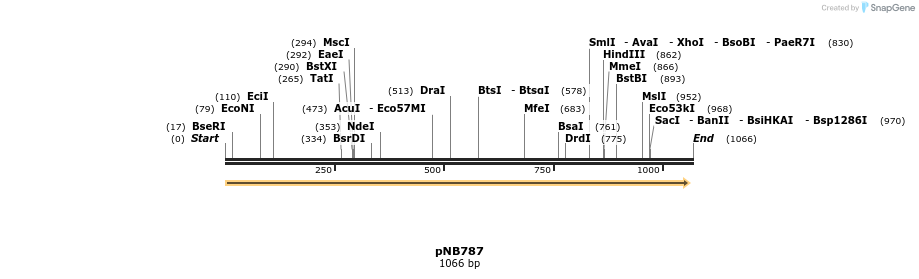 98597_map