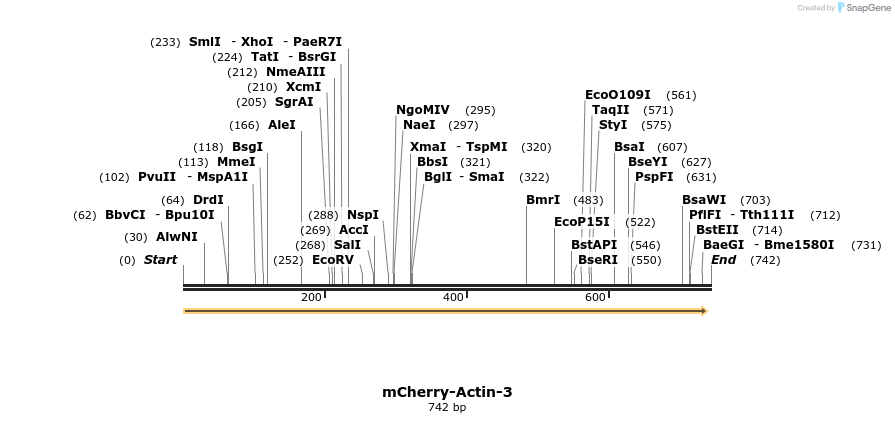 98598_map