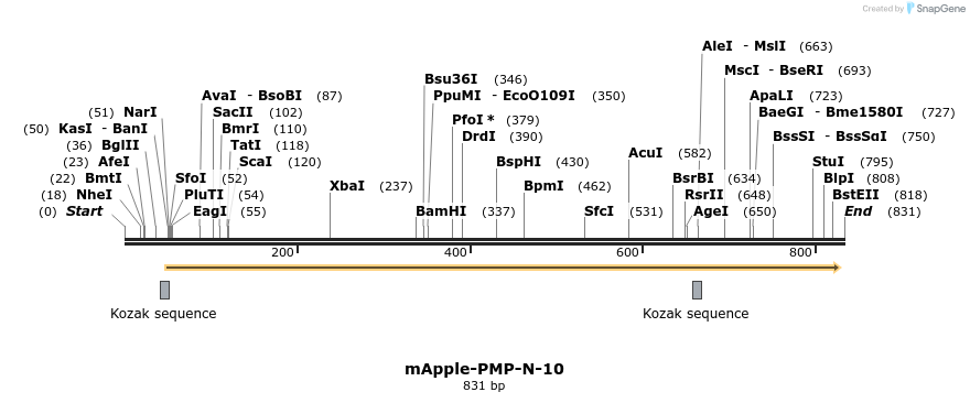 98599_map
