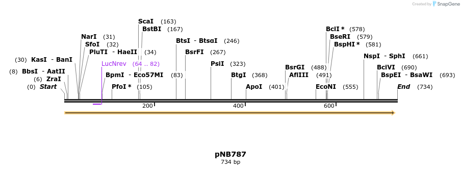98602_map