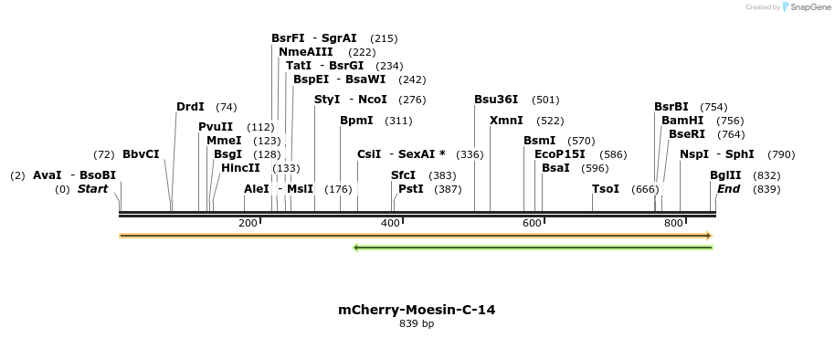98605_map