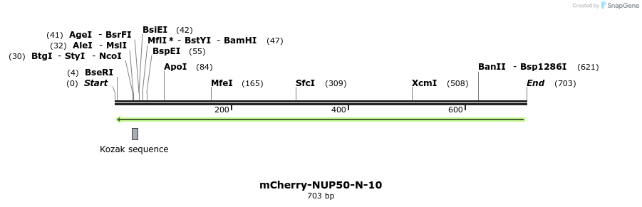 98609_map