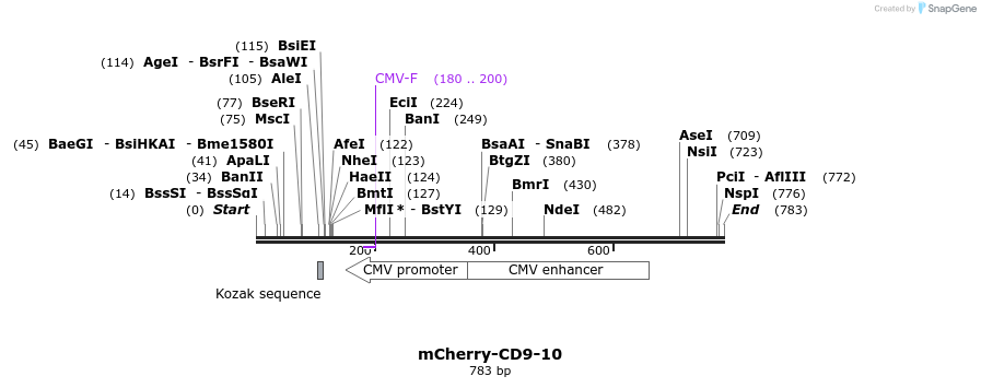 98610_map